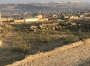 Satılır 1 otaqlı 20 m2 həyət evi Binəqədi r.