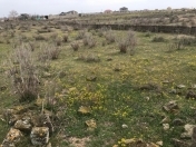 Satılır 12 sot torpaq Ləhic Bağları