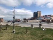 Satılır 6 sot torpaq Sumqayıt