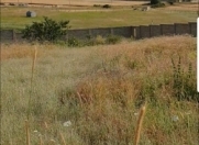 Satılır 14 sot torpaq Şamaxı