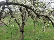 Satılır 5 sot torpaq Aviasiya Akademiyası Universiteti