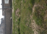 Satılır 3 sot torpaq Binə