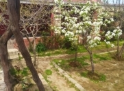 İcarəyə verilir 3 otaqlı 100 m2 bağ evi Ayna Sultanova heykəli