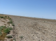 Satılır 15000 sot torpaq Neftçala