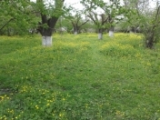 Satılır 3 otaqlı 140 m2 bağ evi Xaçmaz