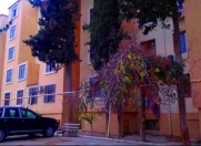 İcarəyə verilir 1 otaqlı 35 m2 köhnə tikili Binəqədi r.