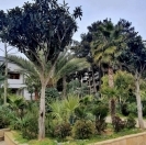 Satılır 6 otaqlı 520 m2 bağ evi Şüvəlan