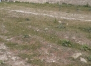 Satılır 3 sot torpaq Binə