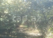 Satılır 5 otaqlı 100 m2 həyət evi Xaçmaz