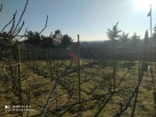 Satılır 8 sot torpaq Nardaran