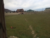 Satılır 33 sot torpaq Albalı