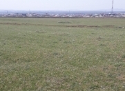 Satılır 50 sot torpaq Masazır