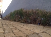 Satılır 12 sot torpaq 28 Mall