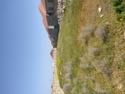 Satılır 16 sot torpaq Binə