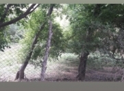 Satılır 3 otaqlı 3000 m2 həyət evi Naxçıvan