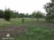 Satılır 10 sot torpaq Qəbələ