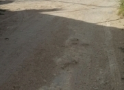 Satılır 11.23 sot torpaq Şüvəlan