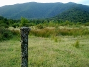 Satılır 20 sot torpaq Zaqatala