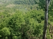 Satılır 9 sot torpaq Qəbələ