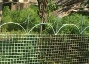 Satılır 3 otaqlı 7 m2 həyət evi Hacıqabul