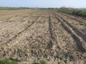 Satılır 8 sot torpaq Maştağa