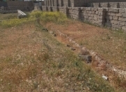 Satılır 3 sot torpaq Binə