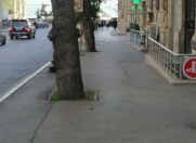 Satılır 5 otaqlı 120 m2 obyekt İçəri Şəhər