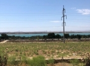 Satılır 124 sot torpaq Saray