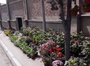 İcarəyə verilir 2 otaqlı 47 m2 obyekt Sulutəpə