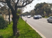 Satılır 8 sot torpaq Gənclik m.