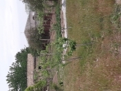 Satılır 8 sot torpaq Novxanı