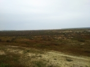 Satılır 130 sot torpaq Hökməli