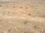 Satılır 27 sot torpaq Fatmayı