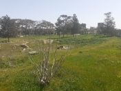 Satılır 23 sot torpaq Mehdiabad