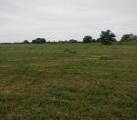 Satılır 360 sot torpaq Xudat