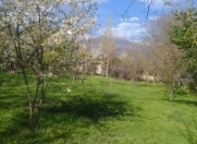 Satılır 20 sot torpaq Şəki