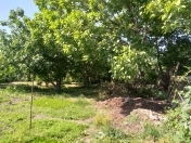 Satılır 6 sot torpaq Mingəçevir