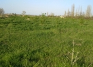 Satılır 30 sot torpaq Qusar