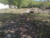 Satılır 8 sot torpaq Qusar