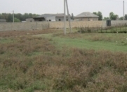 Satılır 6.5 sot torpaq Lənkəran