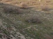 Satılır 12 sot torpaq Kürdəxanı