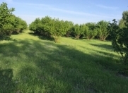 Satılır 120 sot torpaq Qəbələ