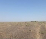 Satılır 2000 sot torpaq Badamdar