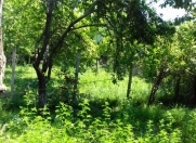 Satılır 3 otaqlı 105.5 m2 həyət evi İsmayıllı