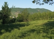 Satılır 5 sot torpaq Quba