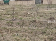 Satılır 16 sot torpaq Şamaxı