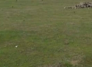 Satılır 6 sot torpaq Quba