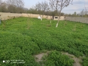 Satılır 11 sot torpaq Qəbələ