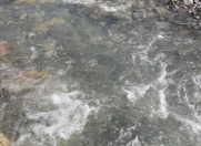 Satılır 9 sot torpaq İsmayıllı