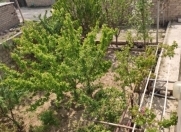 Satılır 5 otaqlı 100 m2 həyət evi Y.Ramana